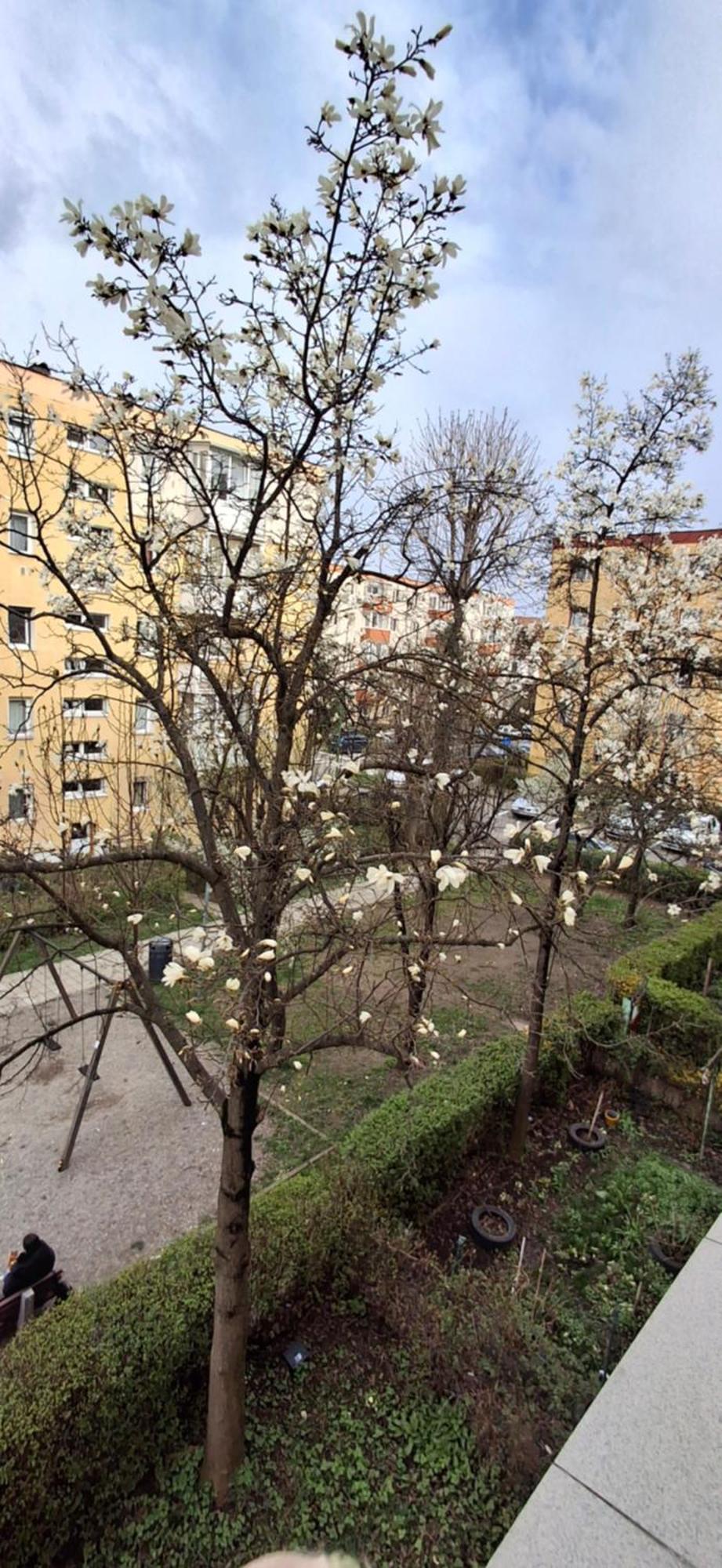 Gabi's Apartament *